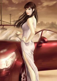 男妃升級系統