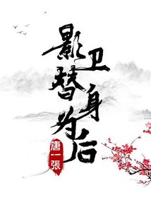 影衛替身為後